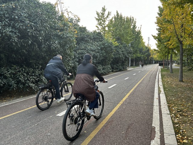 城市骑行成为新风尚(分离图)136340(2523858)-20241101100619.jpg