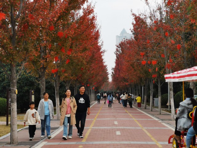 红枫广场02(2518053)-20241029113245.jpg